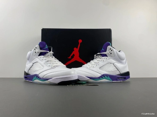 (2013) Jordan Retro 136027-108 Air Grape 5 0916